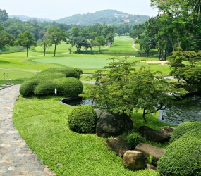 Koi Pond2