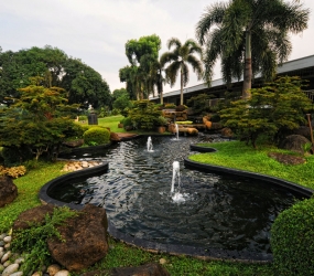 koi pond